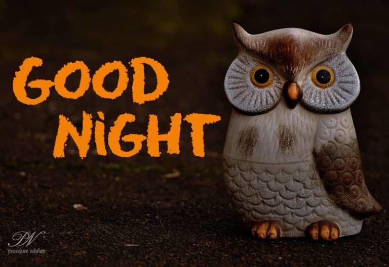 Good Night Wishes
