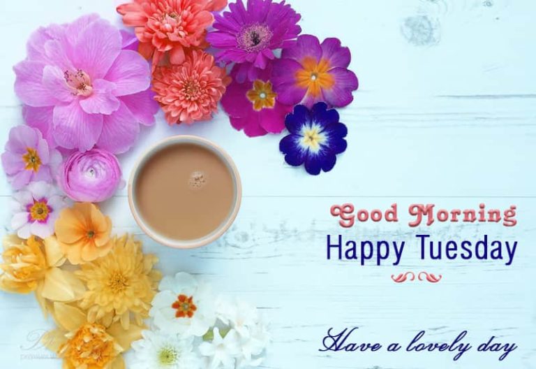 Happy Tuesday Happy Tuesday