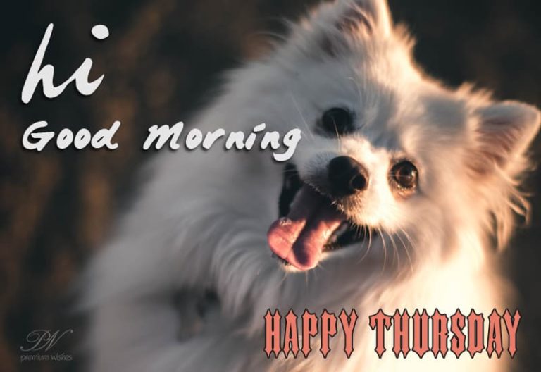 Happy Thursday – It is a precious privilege to breathe, think and enjoy