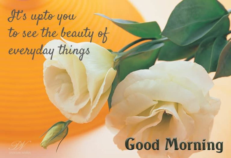 Good Morning – Look around and see the beauty
