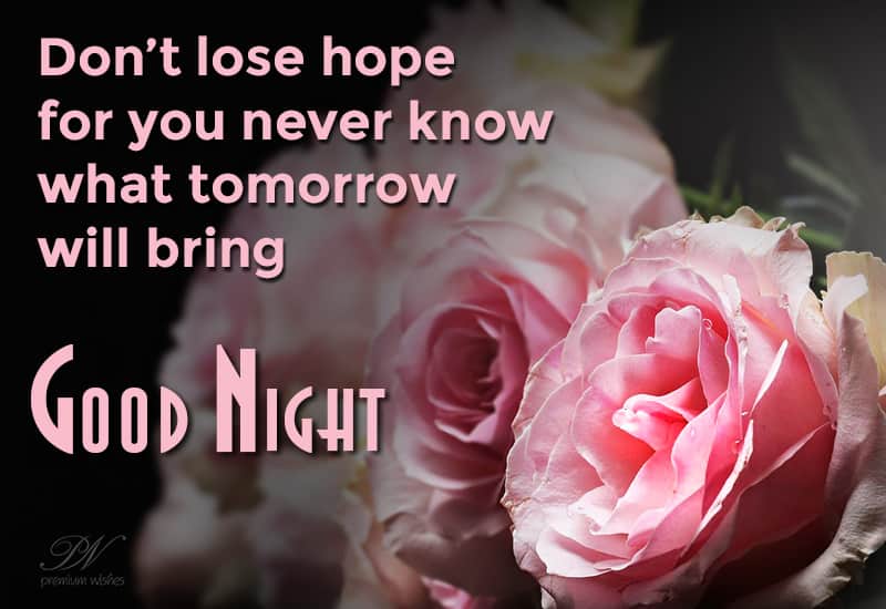 Good Night Never Lose Hope Good Night Images For Whatsapp Free