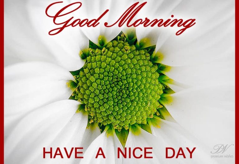 Good Morning – Always keep patience