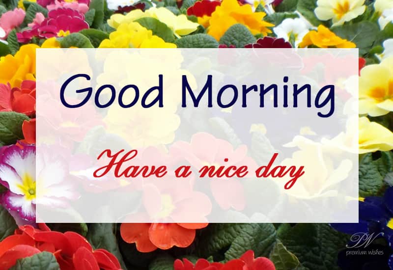 Good morning wishes with flowers