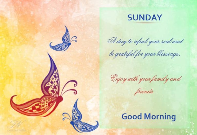 Happy Sunday – Time to wallow