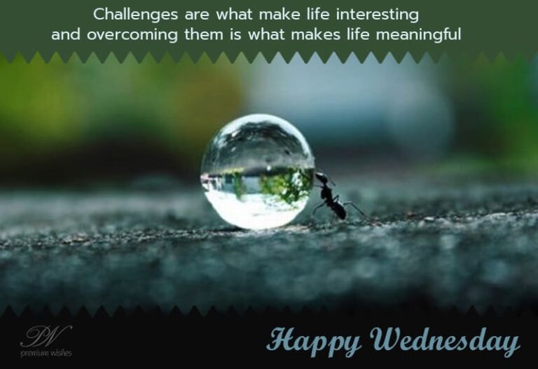 Good Morning – Make your life meaningful Good Morning – Make your life meaningful