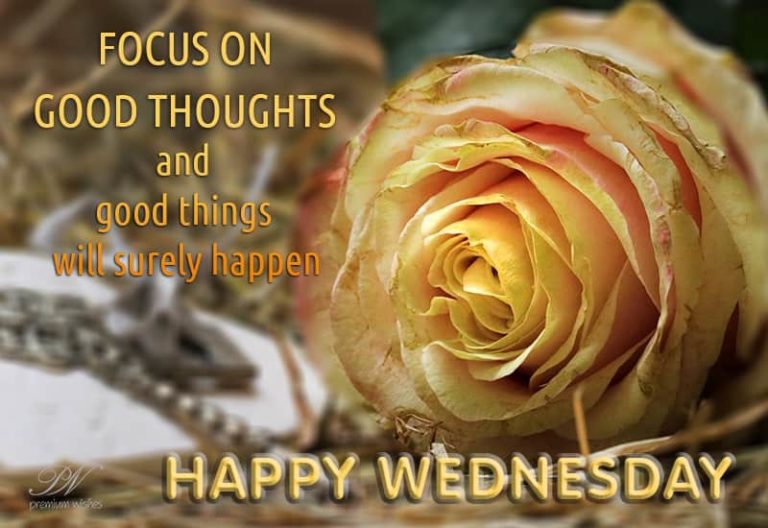 Happy Wednesday – A Rose for Good Morning