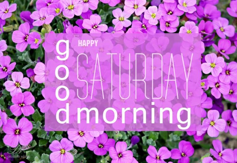 Good Morning and Happy Saturday