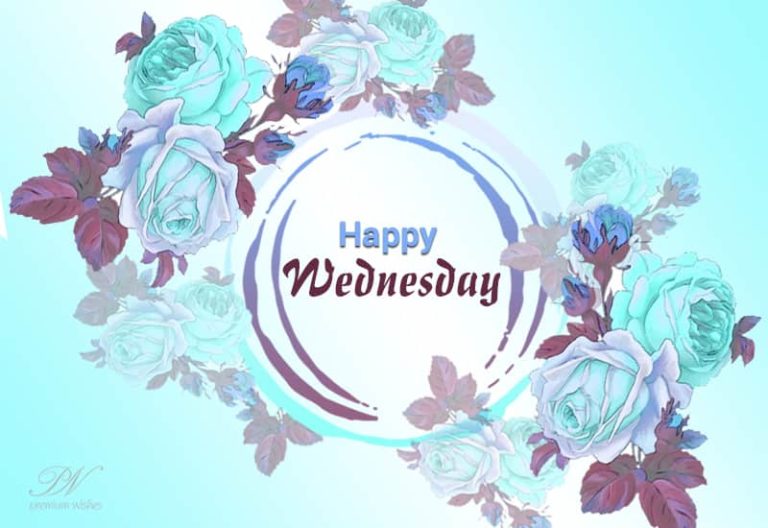 Happy Wednesday – Say Hello