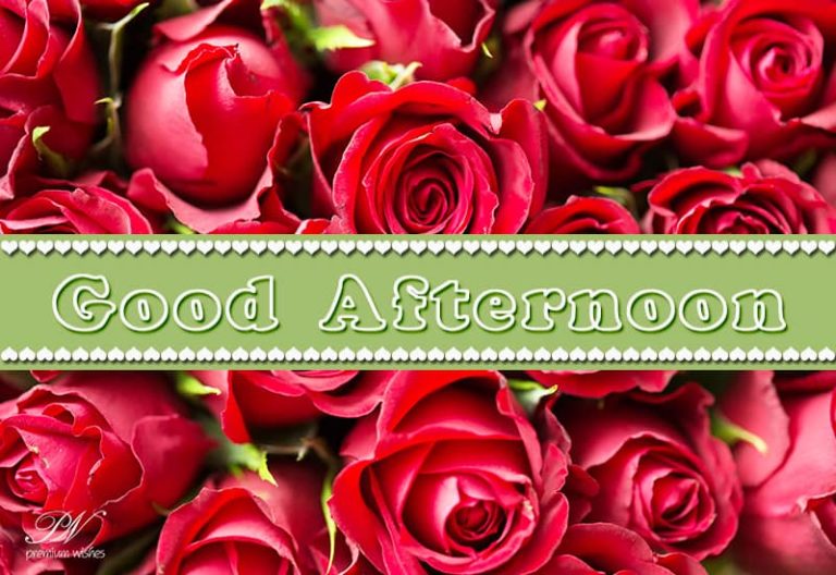 Good Afternoon Wishes