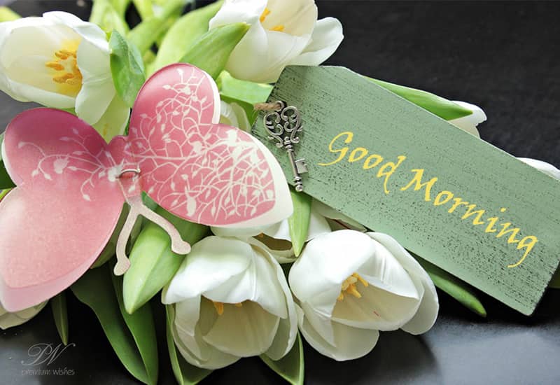Good morning wishes with flowers