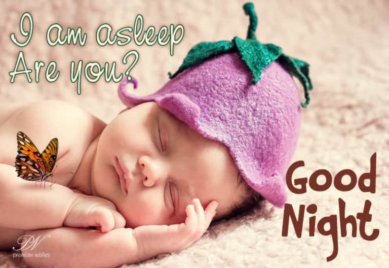 Good Night Wishes