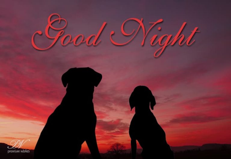 Good Night Wishes