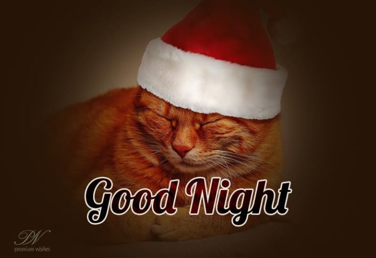 Good Night Wishes