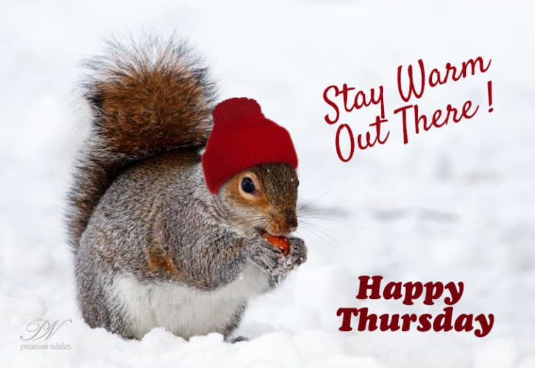 Happy Thursday – Stay Warm
