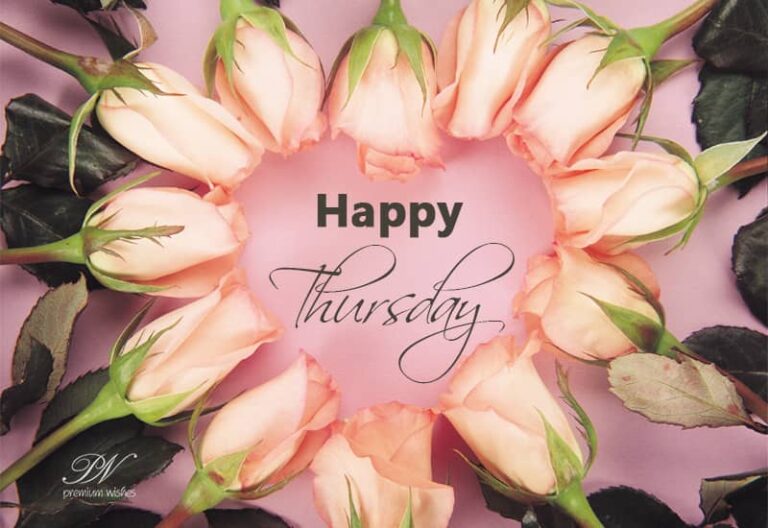 Happy Thursday – Bright and Sunny
