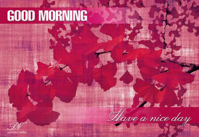 Good Morning Flowers – Have a nice day