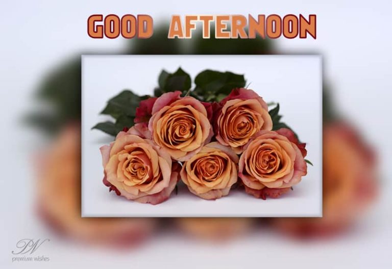 Good Afternoon Wishes