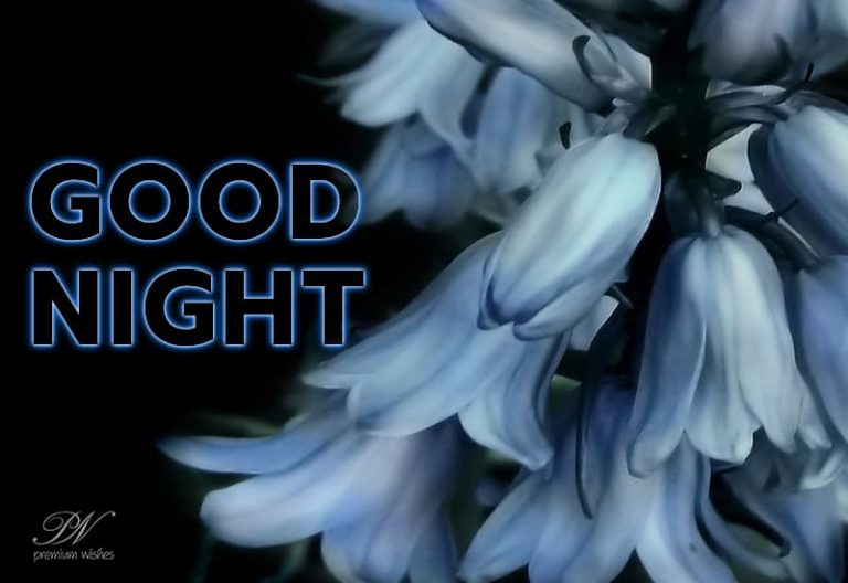 Good Night Wishes