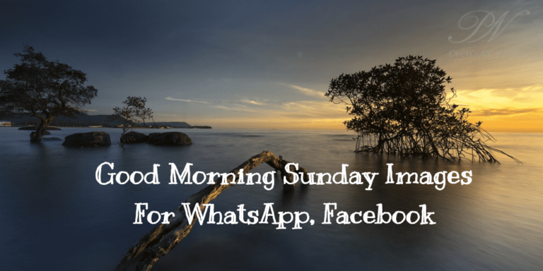 Good Morning Sunday Images For WhatsApp, Facebook