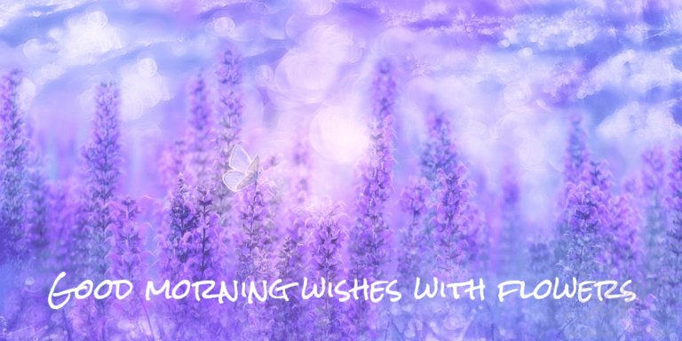 Good morning wishes with flowers