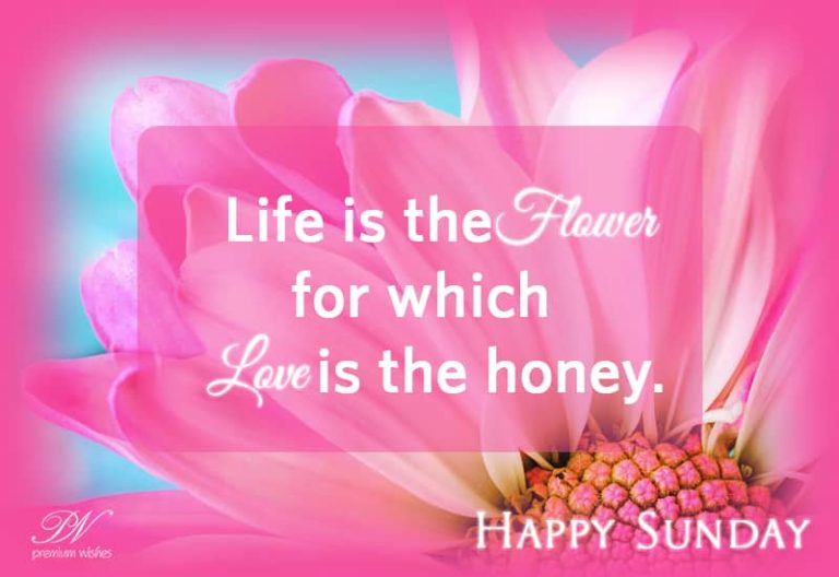 Happy Sunday – Life The Flower Love The Honey
