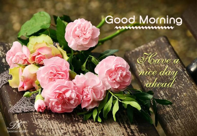 Good Morning – Roses For You