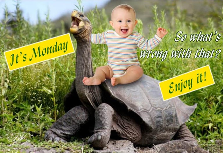 Happy Monday – Enjoy It