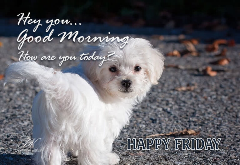 Happy Friday Good Morning