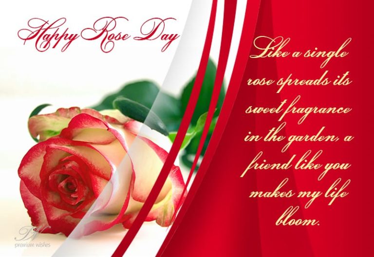 Happy Rose Day – Spread The Sweet Fragrance