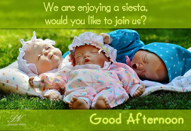 Good Afternoon Messages For Friends
