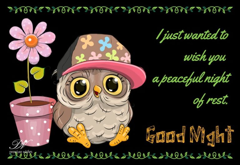 Good Night Wishes