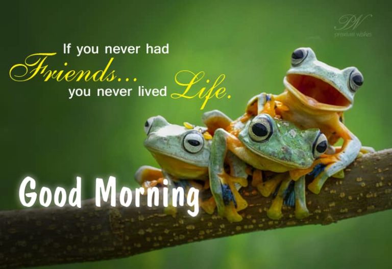 Good Morning – Friends Help You Live Life