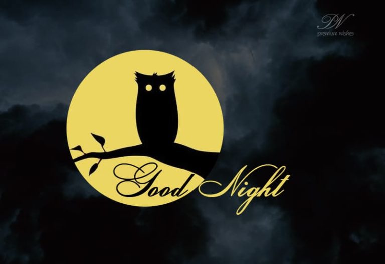 Not Good Bye But Good Night