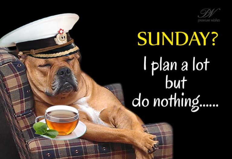 Happy Sunday – Plan Lot Do Nothing