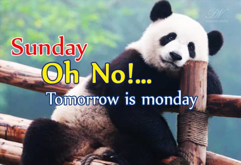 Happy Sunday – Tomorrow is Monday