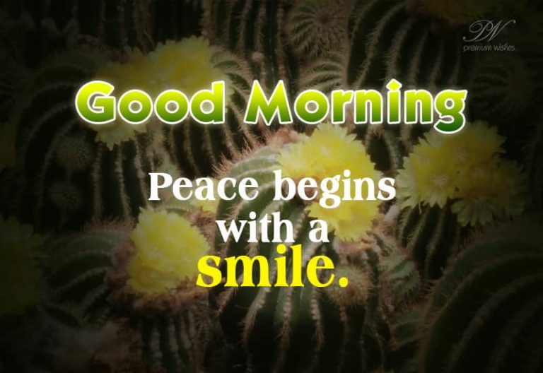 Good Morning Wishes