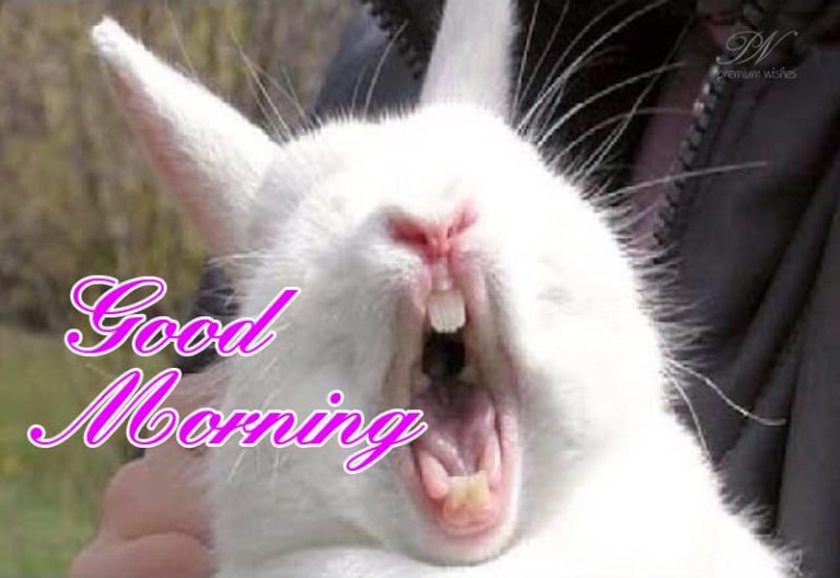 Good Morning – Silently Shouting