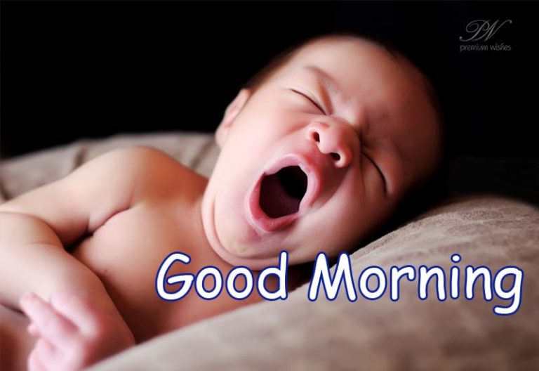 Good Morning – Still Not Awake