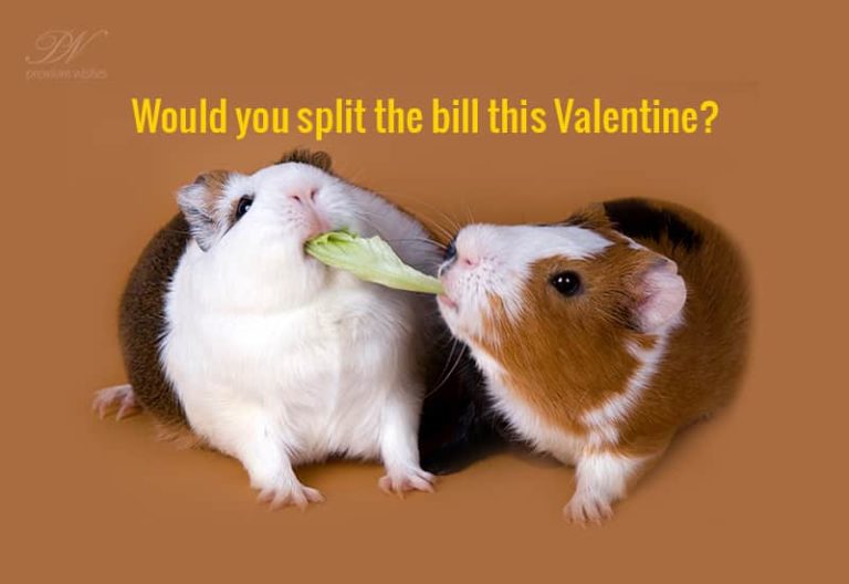 Would you split the bill this Valentine?