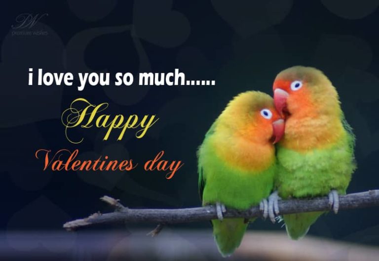 Happy Valentine’s Day – Love You So Much