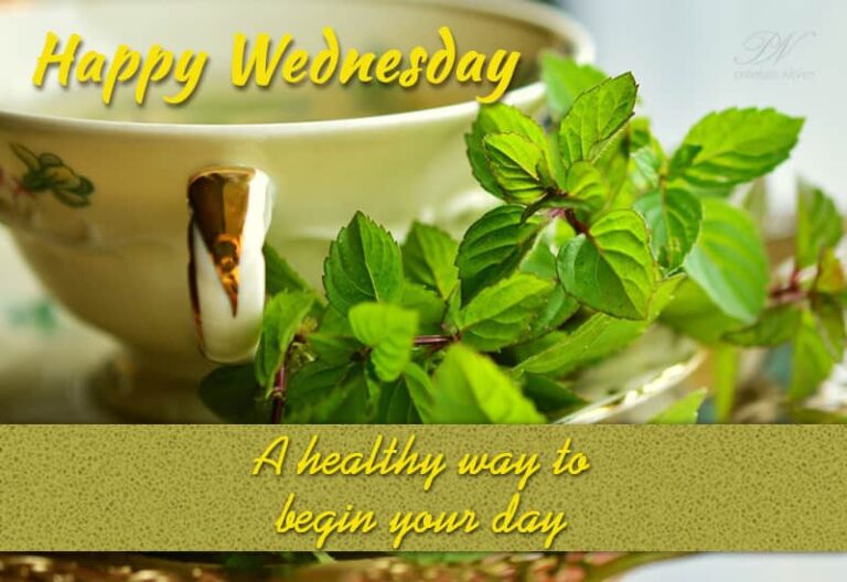 Happy Wednesday – Stay Healthy