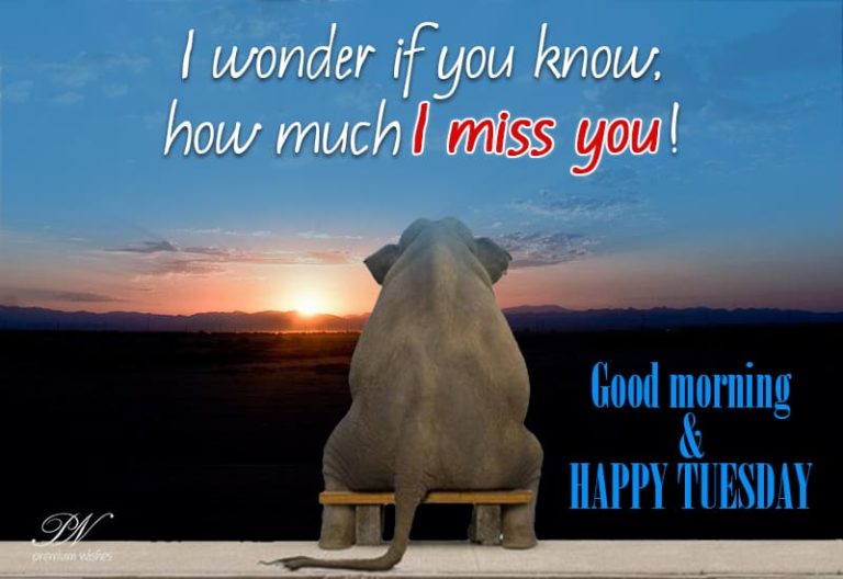 Happy Tuesday Missing You Happy Tuesday Missing You