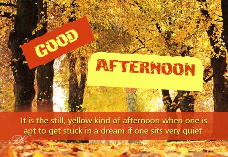 Good Afternoon Wishes