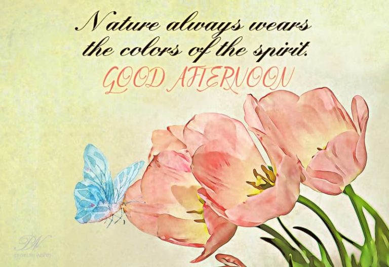 Good Afternoon Wishes