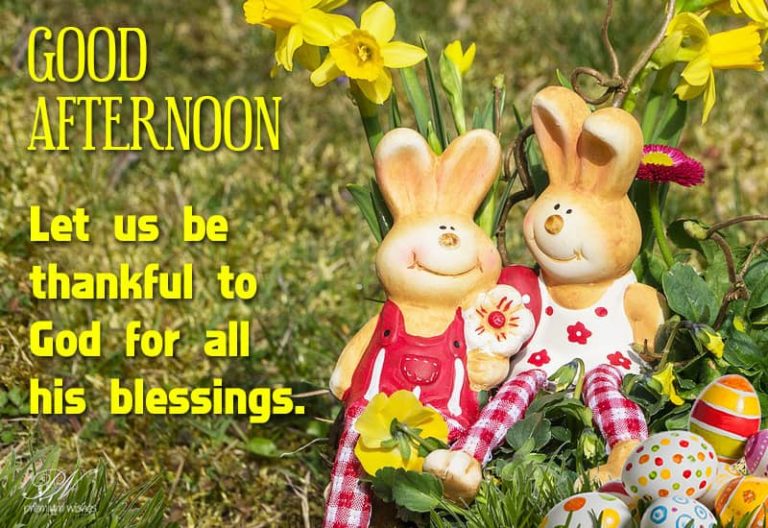 Good Afternoon Wishes