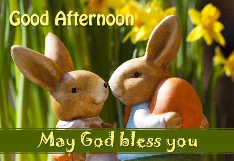 Good Afternoon Wishes