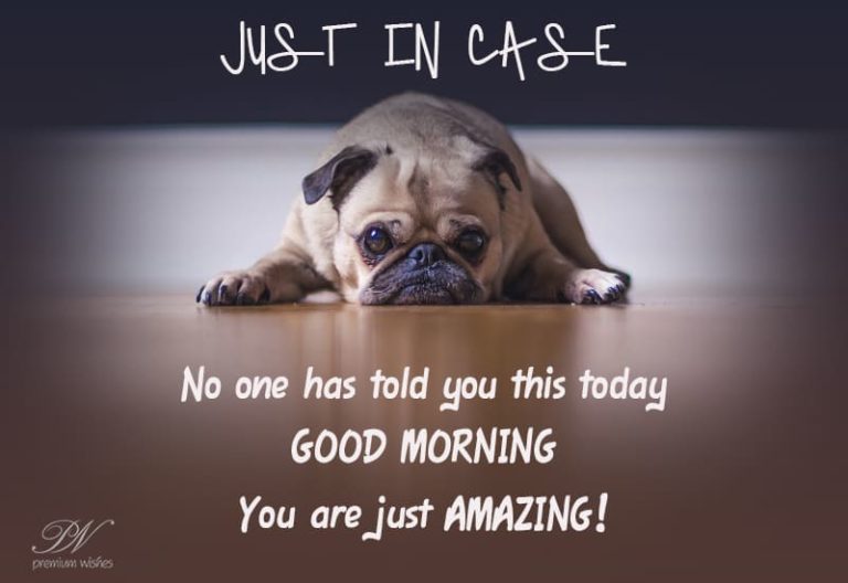 Good Morning – You are just amazing Good Morning – You are just amazing