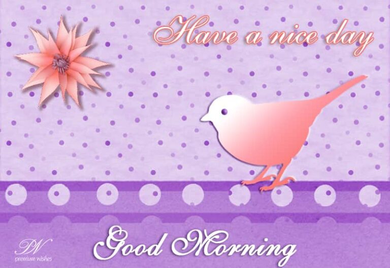 Have a nice day good morning