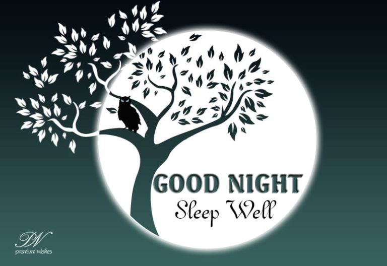 Good Night Wishes