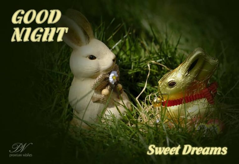 Good Night Wishes